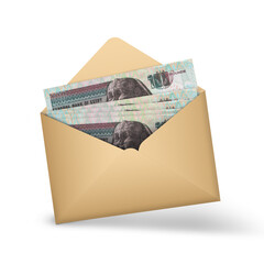 Egyptian pound notes inside an open brown envelope. 3D illustration of money in an open envelope - obrazy, fototapety, plakaty