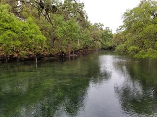 florida 5
