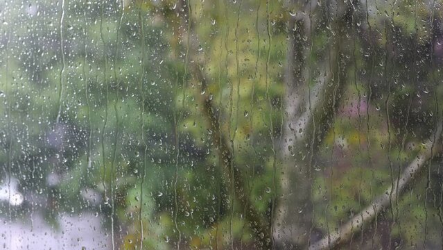 rain drops on the window