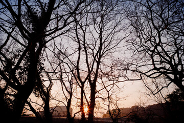 朝日とシルエット