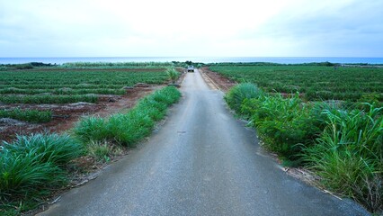 road in the countryside