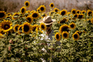 CAMPO DE GIRASOL