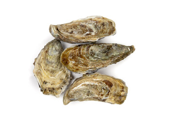 top view of several closed oysters isolated on a white background