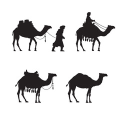 collection of camels Silhouettes vector