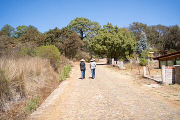 Fototapeta premium Dos mujeres caminan por un camino en el bosque de Tapalpa Jalisco México.