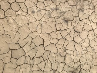 cracked earth texture