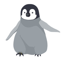 Baby emperor penguin walking toddler.