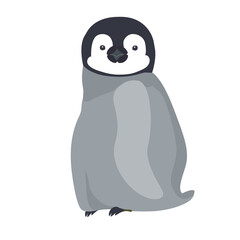 A baby emperor penguin staring at us.
