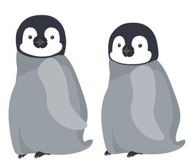 Two baby emperor penguins walking alongside each other.