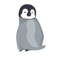 振り向く仕草が可愛い、エンペラーペンギンの雛