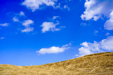 Fototapeta na wymiar 待望の春を迎える枯れ草の草原とたくさんの雲が浮かんだ青空