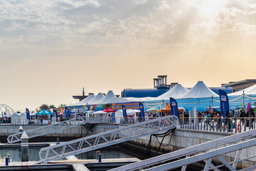 Dubai, UAE - 02.27.2022 - Pet festival in Souq al Marfa located on Deira islands. Outdoors