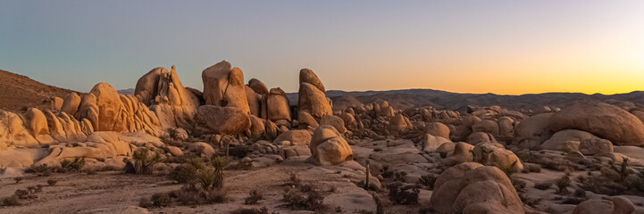 Joshua Tree National Park desert landscape in panoramic shot view. 