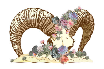 Ram skull in flowers and succulents. Vector illustration.