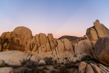 Joshua Tree National Park desert landscape