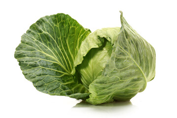 cabbage on white background