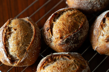 クルミとライ麦全粒粉のプチフランスパン