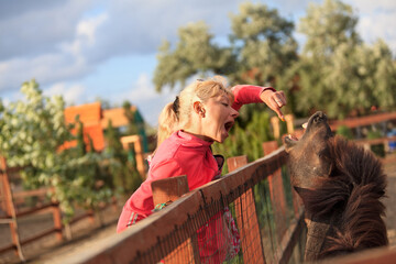 Girl feeding the brown ponies at the zoo
