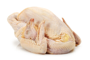 raw hen on a white background 