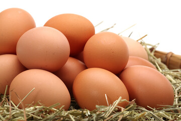 eggs on a white background