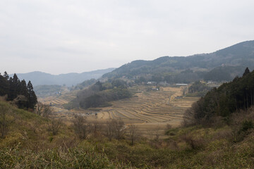 日本の岡山県美咲町の大垪和西の美しい棚田