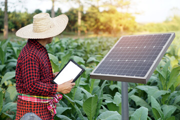Farmer is using smart tablet to do research about photovoltaic solar panel at garden.  Concept : Green technology agriculture.     
