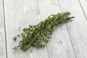 Fresh green Thyme branch heap