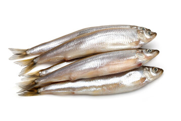 Fish food isolated on white background