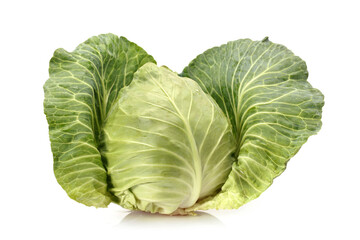 cabbage isolated on white background