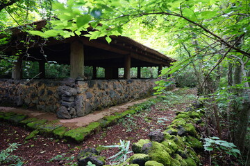 hut in summer forest