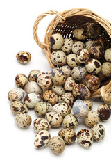 quail eggs in a basket