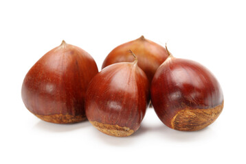 Sweet chestnut on white background