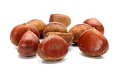 Sweet chestnut on white background