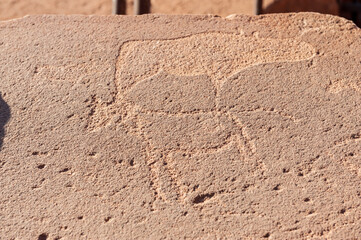 Detail of the prehistoric rock paintings of the San People in Western Namibia, near Twyfelfontein.
