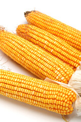 grain corn closeup on a white background