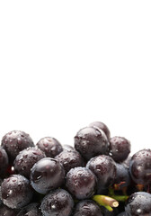 Grapes on white background 