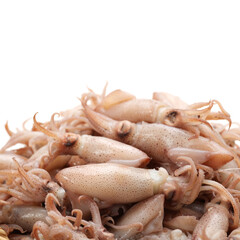 Small Freshly Steamed Squids On White background