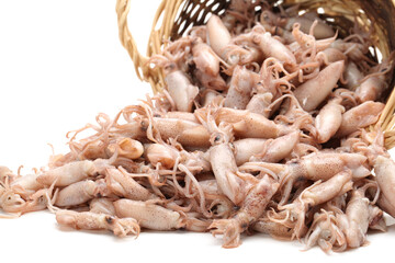 Small Freshly Steamed Squids On White background