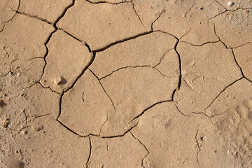 Vega Baja del Segura - Torrevieja - Arte natural a orillas de las salinas
