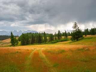Way to the distance, way  through summer hill under rainy sky. Grass road through the field. Atmospheric rainy mountain scenery with length road among hills and cedar forest.