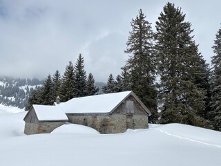 Indigenous alpine huts and wooden cattle stables on Swiss pastures covered with fresh white snow cover, Unterwasser - Obertoggenburg, Switzerland (Schweiz)