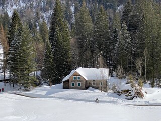 Indigenous alpine huts and wooden cattle stables on Swiss pastures covered with fresh white snow cover, Unterwasser - Obertoggenburg, Switzerland (Schweiz)