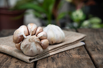 White garlic on table.