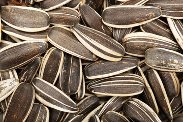 sunflower seeds background