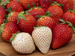 イチゴ　やよいひめとミルキーベリー　