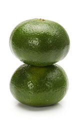 tangerine on white background