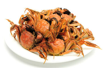 Cooked river crab isolated in white background