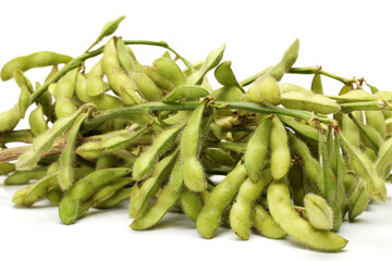 Fresh harvested soybean (edamame) plant isolated on white background