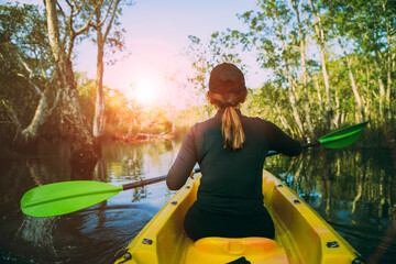 woman sailing kayak in mangrove forest against beautiful sun light - obrazy, fototapety, plakaty