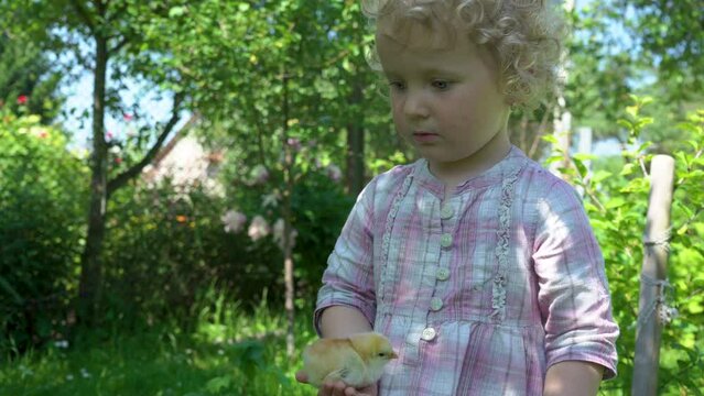 little girl with curly hair with little chickens,rural girl in a dress in a beautiful spring garden holding a little chicken